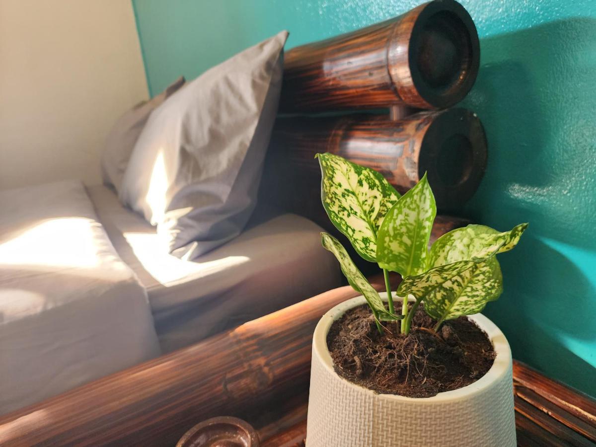Blue Moon House - A Budget Hostel For Easy Travellers Chiang Mai Exteriör bild