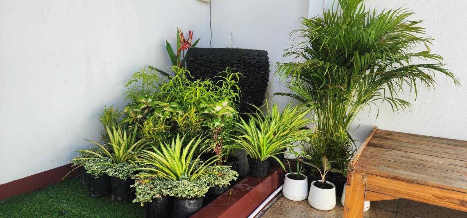 Blue Moon House - A Budget Hostel For Easy Travellers Chiang Mai Exteriör bild